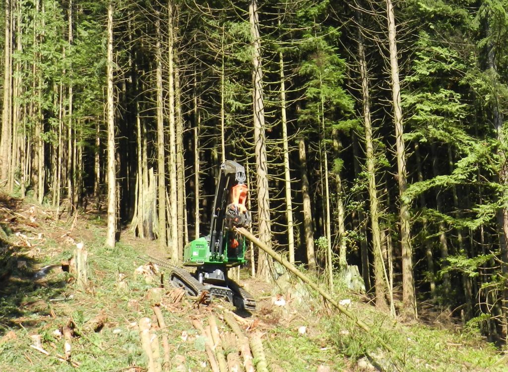 Steep slope felling in a tethered logging operation